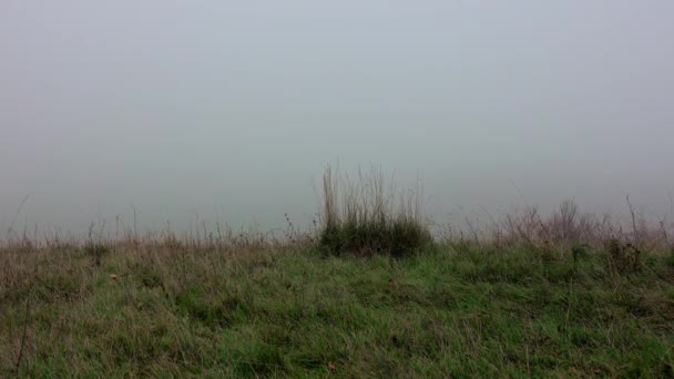 背着背包独自在雾中远足的人 秋天的天气 能见度低 — 图库视频影像