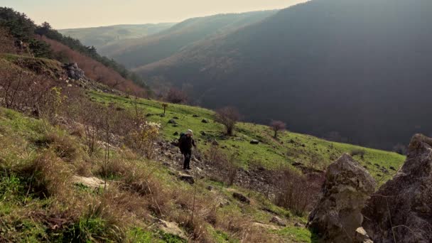 活力充沛的人背着背包在山脚下的岩石草地上远足 — 图库视频影像