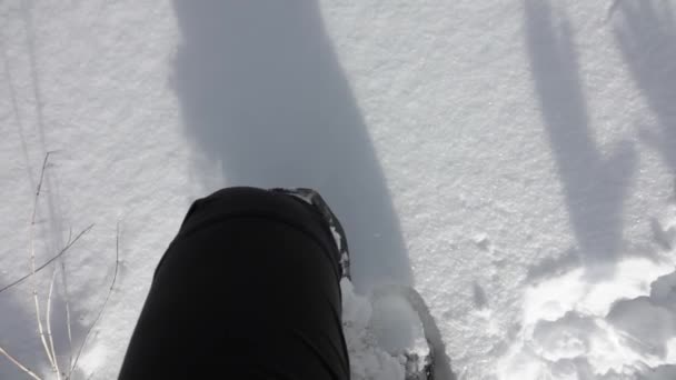 Caminhante Com Sapatos Neve Andando Floresta Inverno Montanha Coberto Com — Vídeo de Stock