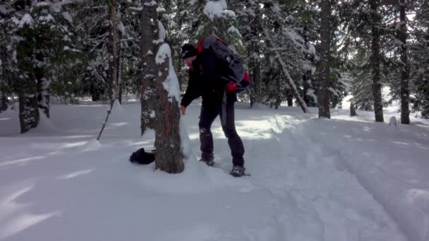 Турист Снегоступах Рюкзаке Гуляющий Горном Зимнем Лесу Покрытый Глубоким Снегом — стоковое видео