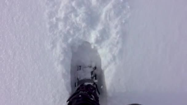 Kar Ayakkabılarıyla Dağ Ormanlarında Yürüyüş Yapan Derin Karlarla Kaplı Bir — Stok video