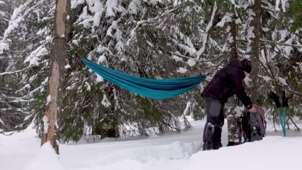 冬の森の木々の下にハンモックに寝そべっているスノーシューのハイカー 雪が降ってる 冬のキャンプ — ストック動画
