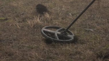 Metal dedektörlü bir çift sisli bir sonbahar gününde yerde hazine arıyor.