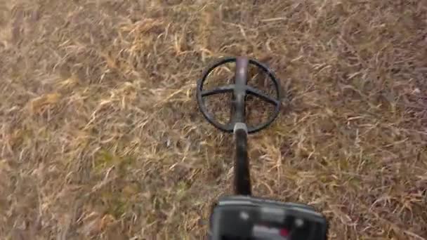 Couple Metal Detector Searching Treasure Ground Foggy Autumn Day — Vídeo de Stock