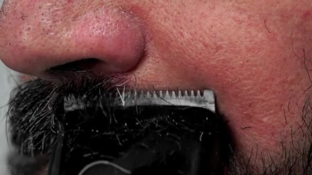Bărbatul Vârstă Mijlocie Părul Creț Trunchiul Gol Își Fixează Barba — Videoclip de stoc
