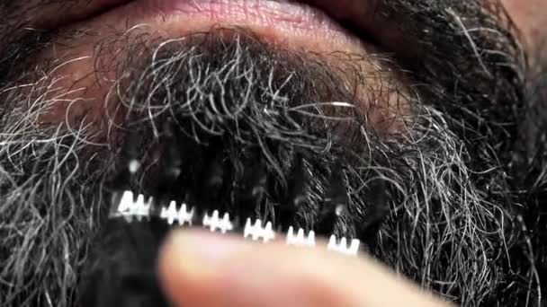 Homem Meia Idade Cabelos Encaracolados Tronco Corrige Sua Longa Barba — Vídeo de Stock