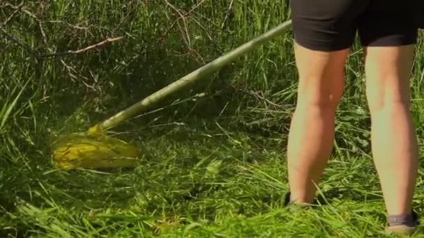 Mujer Cortando Hierba Alta Huerto Con Cortaescobillas — Vídeo de stock
