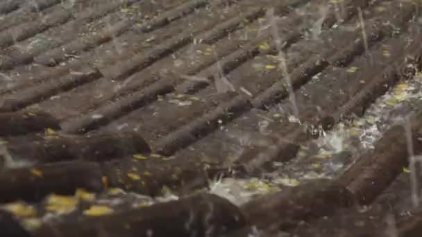 Starkregen Ergießt Sich Auf Hausdach — Stockvideo