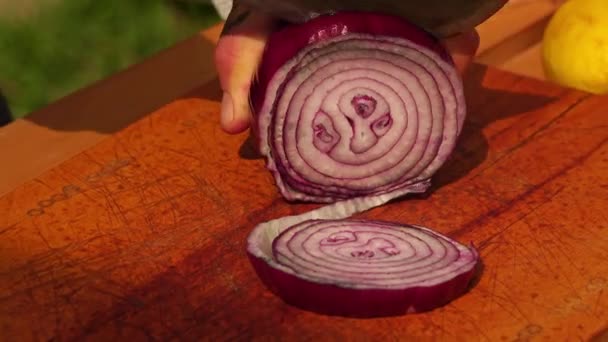 加盐和切片蔬菜 准备烧烤 — 图库视频影像