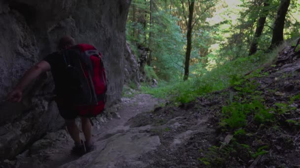 Caminante Caminando Una Cueva Aventura Hombre Mochilero Disfrutando Hermosa Vista — Vídeos de Stock