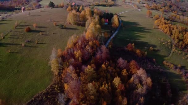 Drone Vlucht Een Herfstberg Met Pieken Weiden Kleurrijke Bossen Van — Stockvideo