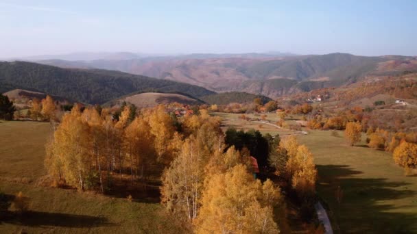 Lot Dronem Nad Jesienną Górą Szczytami Łąkami Kolorowymi Lasami Alp — Wideo stockowe