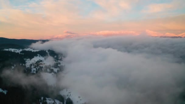 雪に覆われた山の斜面 冬の日の出にブルガリアのロドプスでは 美しい低雲と霧の間を飛行します — ストック動画