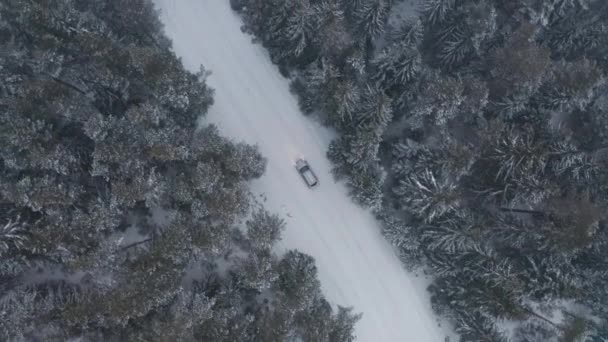 Drone Flight Picturesque Snowy Forest Car Curvy Road Passing Winter — Wideo stockowe