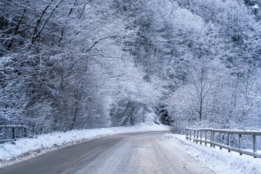 Ormanda karlı bir yol. Karla kaplı ağaçlarla kaplı güzel kış manzarası.