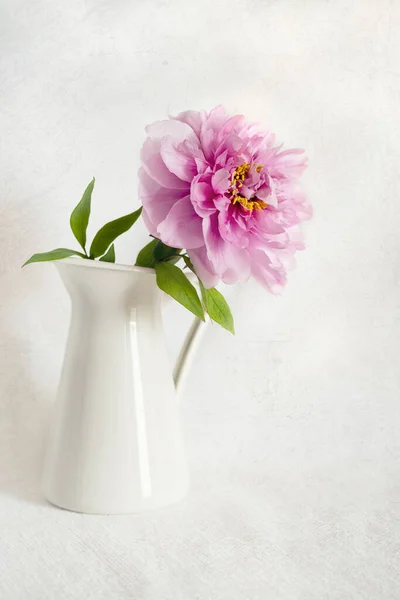 Натюрморт Великолепным Розовым Пионом Вазе Белом Фоне — стоковое фото