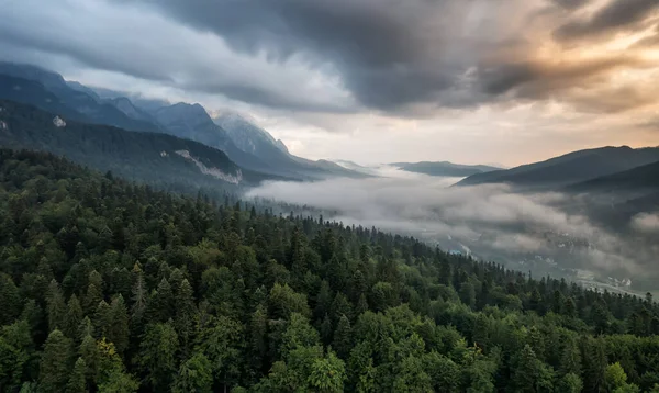 Increíble Tiro Dron Del Hermoso Bosque Verde Nieblas Trepadoras Entre —  Fotos de Stock