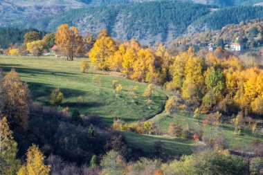 Sırbistan 'ın Zlatibor kenti yakınlarındaki Dinar Alpleri' nin tepeleri, çayırları ve renkli ormanlarıyla dolu sonbahar dağının renkli manzarası
