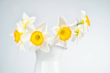 Beyaz arka planda beyaz bir vazoda çiçek açan bir buket nergis çiçeğiyle hayat