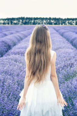 Beyaz elbiseli güzel bir kız gün batımından önce çiçek açan lavanta tarlaları arasında eğleniyor.