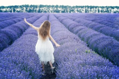 Beyaz elbiseli güzel bir kız gün batımından önce çiçek açan lavanta tarlaları arasında eğleniyor.