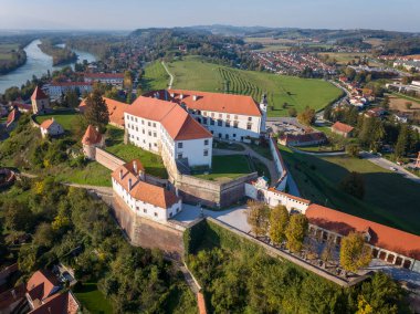 Eski kentin üzerindeki bir tepe üzerindeki Ptuj şatosunun havadan görünüşü, Slovenya 'daki Drava nehri