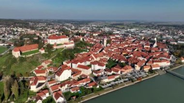 Slovenya 'daki Drava nehri boyunca Ptuj eski kasabasının evlerinin üstündeki tepede güzel Ptuj şatosunun yer aldığı hava videosu