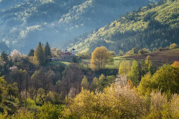 A spring mountain valley in a sunny morning with an old small chapel among rich vegetation and spruce dark dense forests near Smolyan, Rhodopi Mountains, Bulgaria.	