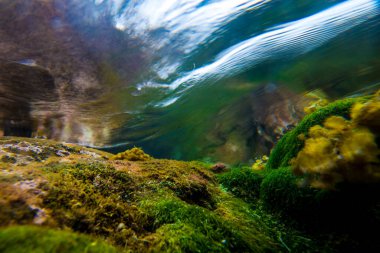 Norveç 'in güzel deniz manzarası