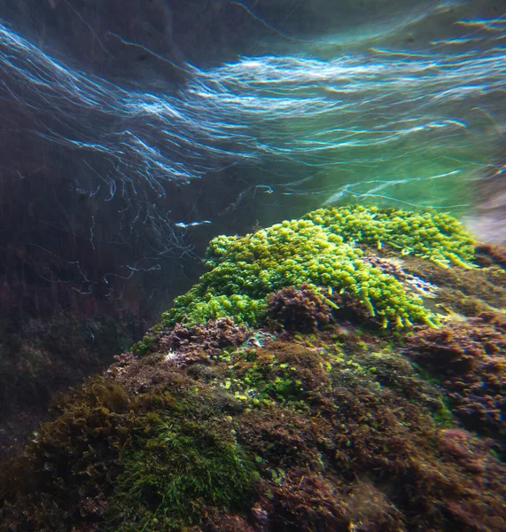 Strumień Wody Morzu — Zdjęcie stockowe