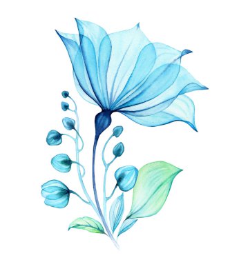 Suluboya Şeffaf Çiçek. Büyük mavi yapraklı kompozisyon, tomurcuklar ve yapraklar. Turkuaz çiçekli soyut resim. Elle boyanmış canlı bir illüstrasyon. Yüksek kaliteli illüstrasyon