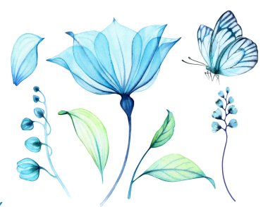 Kelebekli Şeffaf Çiçekler. Büyük mavi yaprakları, tomurcukları ve yaprakları olan elementler. Turkuaz çiçekli soyut resim. Elle boyanmış canlı çizimler.