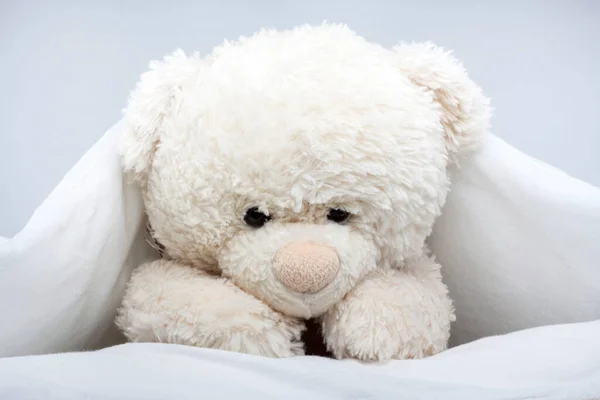 Toy Teddy Bear under the blanket on bed
