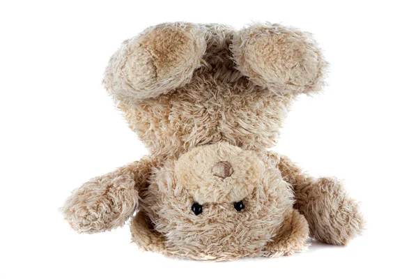 Funny Teddy Bear Turned Upside Isolated White Background — Stock Photo, Image