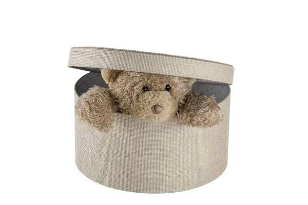 Brinquedo Teddy Bear Caixa Isolado Fundo Branco — Fotografia de Stock