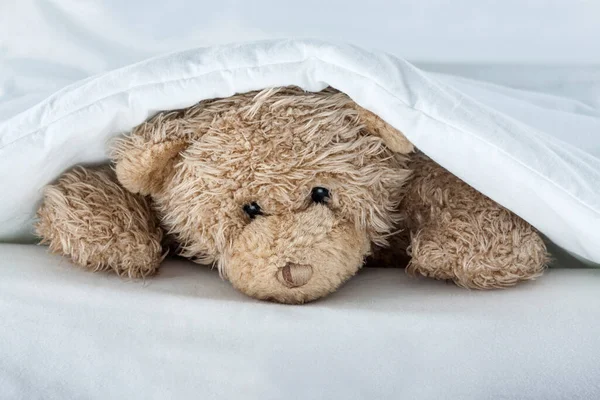 Brinquedo Teddy Bear Sob Cobertor Cama Imagens Royalty-Free