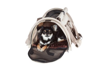  Beyaz arkaplanda izole edilmiş hayvan taşıyıcı çanta veya nakliye kafesi.