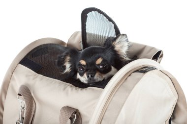  Beyaz arkaplanda izole edilmiş hayvan taşıyıcı çanta veya nakliye kafesi.