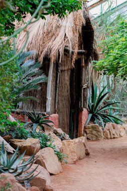 Kulübe kuru palmiye yapraklarıyla kaplı. Kulübenin etrafında taş ve aloe bitkileri ve kumlu bir yol var. Geçmişi. Boşluğu kopyala