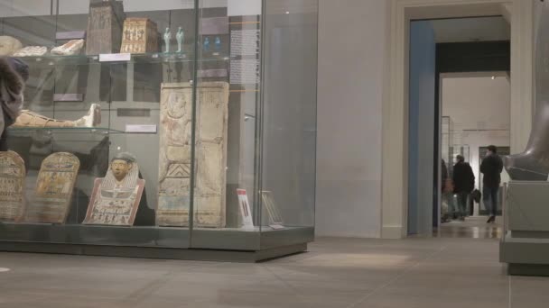 Египетский Музей Турин Италия Февраль 2021 Посетитель Наблюдает Канопическими Корпусами — стоковое видео