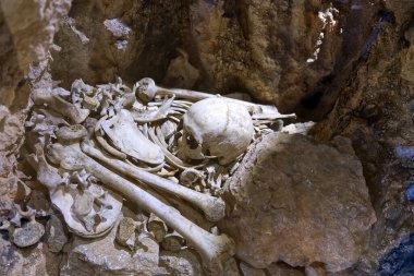 human bones inside an ancient underground burial. High quality photo