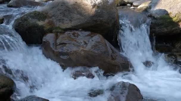 Cachoeira Uma Fonte Alpina Meio Das Pedras Foto Alta Qualidade — Vídeo de Stock