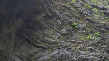 zoom out and scroll inside a cenote. High quality 4k footage