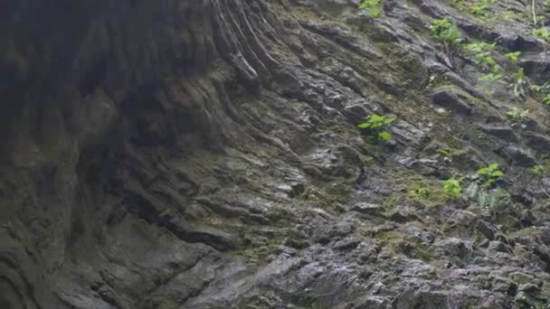 Uitzoomen Scrollen Een Cenote Hoge Kwaliteit Beeldmateriaal — Stockvideo