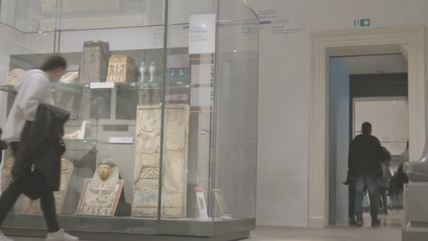 エジプト博物館 トリノ イタリア 2021年2月 訪問者は キャノピーのケースを観察します — ストック動画