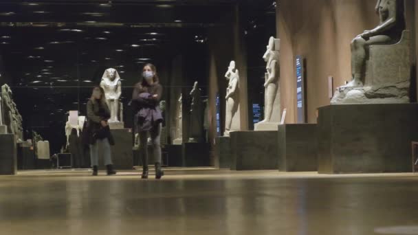 意大利都灵埃及博物馆 2021年2月 游客们在著名的王宫里看雕像 — 图库视频影像