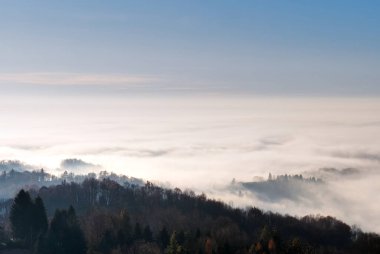 Kırsalda sabah sisi. Ormanın üzerindeki manzara çok güzel. Yüksek kalite fotoğraf
