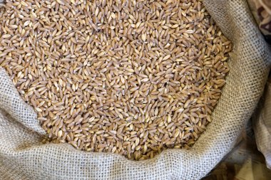 Tüm büyüyü içeren bir çuvala yakın plan. Yüksek kalite fotoğraf