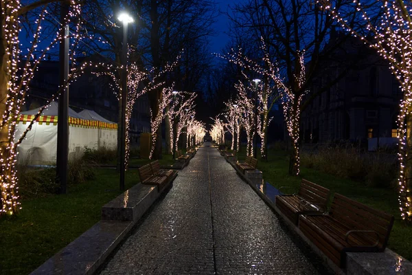 Une Avenue Bordée Arbres Pavée Avec Éclairage Romantique Photo Haute — Photo