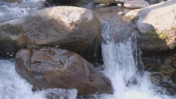Zoom Fora Uma Mola Alpina Meio Das Pedras Foto Alta — Vídeo de Stock